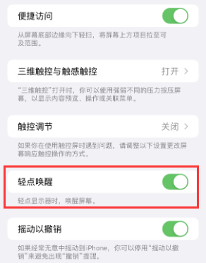 六盘水苹果授权维修站分享iPhone轻点无法唤醒怎么办 