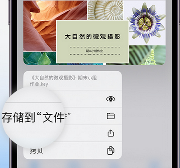 六盘水apple维修中心分享iPhone文件应用中存储和找到下载文件