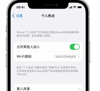 六盘水apple服务站点分享iPhone上个人热点丢失了怎么办 