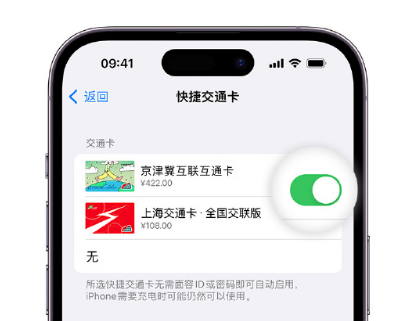 六盘水apple维修点分享iPhone上更换Apple Pay快捷交通卡手绘卡面 