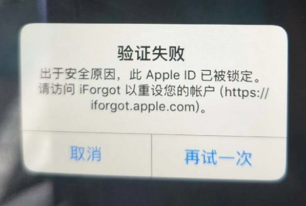 六盘水iPhone维修分享iPhone上正常登录或使用AppleID怎么办 