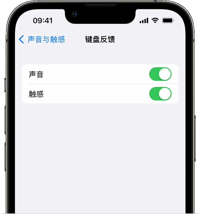 六盘水苹果14维修店分享如何在 iPhone 14 机型中使用触感键盘 