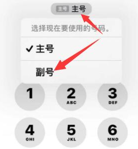 六盘水苹果14维修店分享iPhone 14 Pro Max使用副卡打电话的方法 