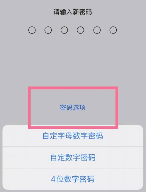 六盘水苹果14维修分享iPhone 14plus设置密码的方法 