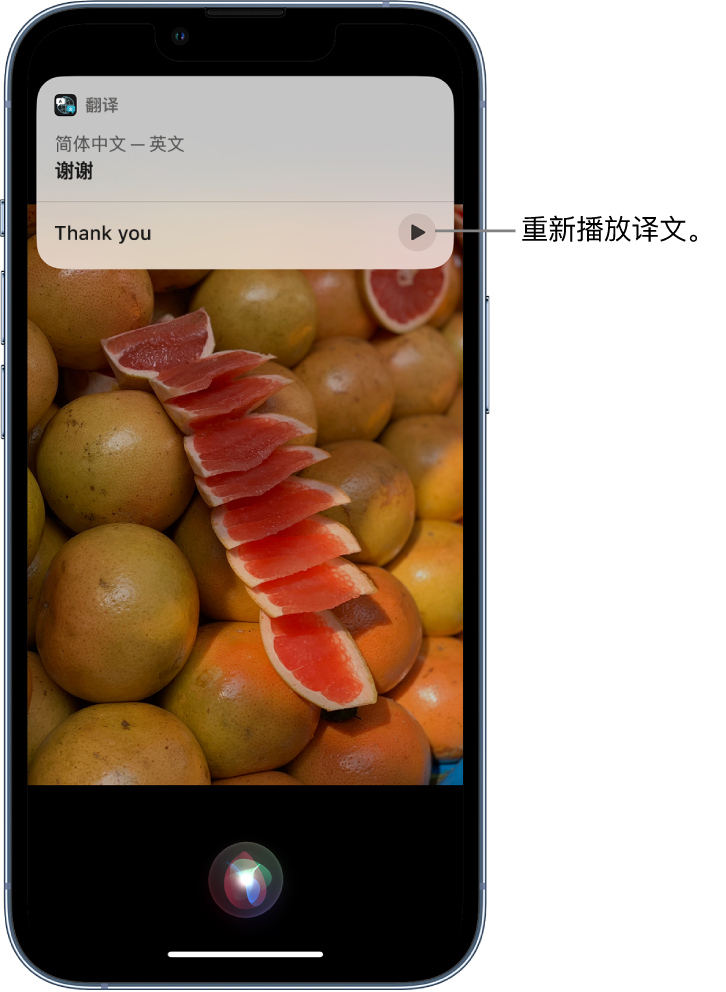 六盘水苹果14维修分享 iPhone 14 机型中使用 Siri：了解 Siri 能帮你做什么 