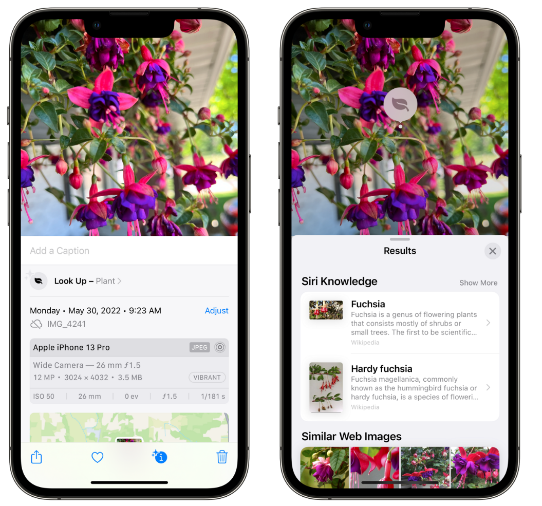 六盘水苹果手机维修分享小技巧：使用 iPhone 相机识别花卉植物 