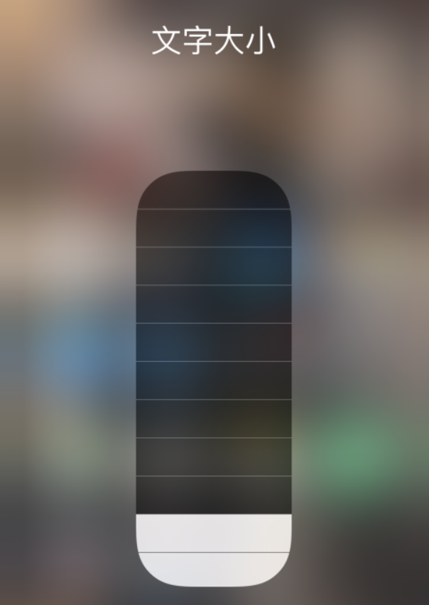 六盘水苹果手机维修分享小技巧：在 iPhone 控制中心快速调节字体大小 