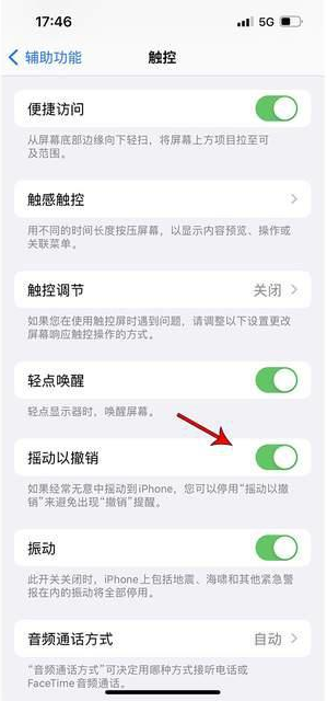 六盘水苹果手机维修分享iPhone手机如何设置摇一摇删除文字 