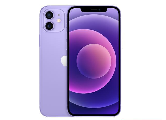 六盘水苹果手机维修分享现阶段要不要入手紫色版iPhone12 