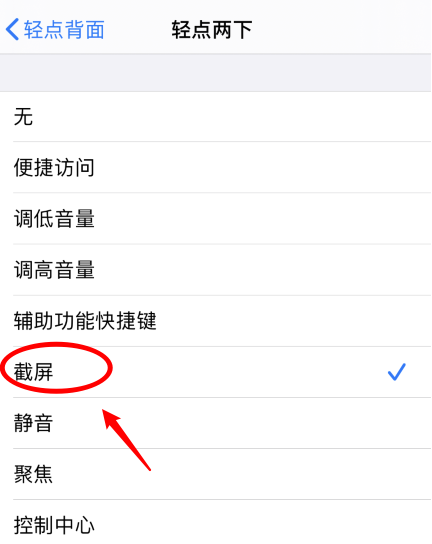 六盘水苹果手机维修分享iPhone12如何启用双击截屏 