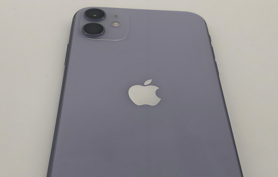 六盘水苹果11系统维修分享iPhone11手机系统崩溃无法开机如何解决